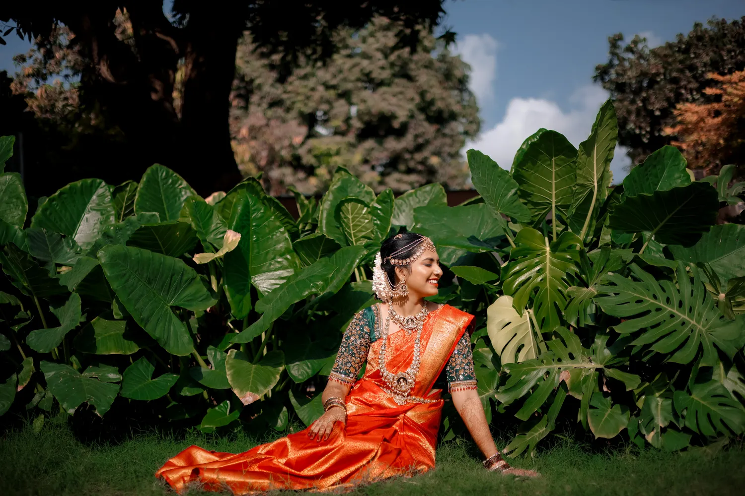 Weddings Photo